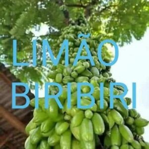 Limão Biribiri