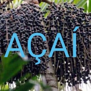 Açaí